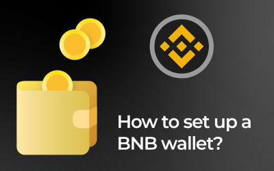 How to Set Up BNB Wallet?